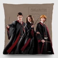 Dekorativn poltek Harry Potter | 40 x 40 cm | CND 3155 - 410