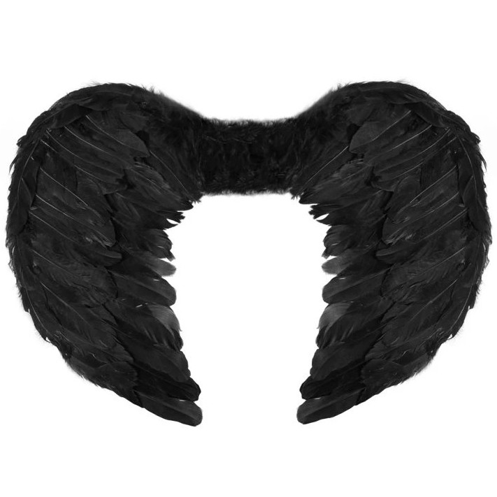 Andělská křídla černá 54x37 cm