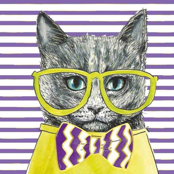 Přáníčko s kočkou