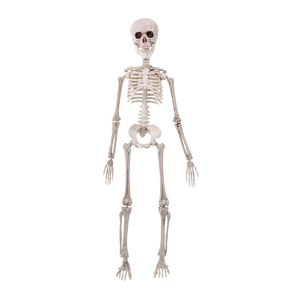 Závěsná dekorace kostra 50 cm