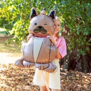 Balónek fóliový stojací Bulldog s kloboukem 60x98cm