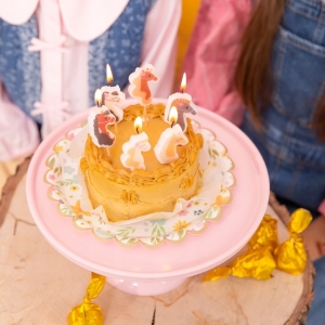 Svíčky narozeninové s Koníky 6 ks