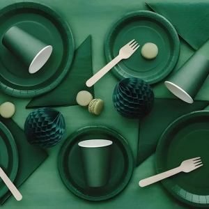 Talíře papírové tmavě zelené 23 cm 6 ks