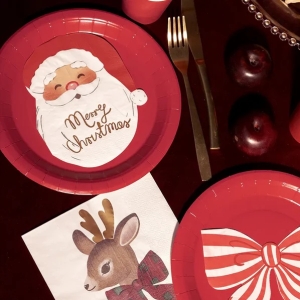 Ubrousky papírové Merry Christmas Santa 13x16 cm 12 ks