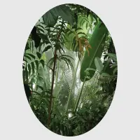 Samolepc vliesov fototapeta na zed' Dotek tropickho list | 70 x 70 cm | CR 3213