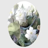 Samolepc vliesov fototapeta na zed' Klidn lotosy | 70 x 70 cm | CR 3234
