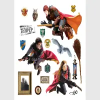 Dtsk samolepka na ze Harry Potter | 30 x 30 cm | DKS 3829 - 411