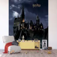 Dtsk samolepc bordura na ze Harry Potter | 5 m x 13.8 cm | DTD4P 7803 - 412