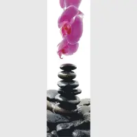 Vliesov fototapeta na zed' Zenov kameny a orchidej | 202 x 90 cm | FTNV 2857