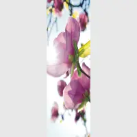 Vliesov fototapeta na zed' Kvty magnolie | 202 x 90 cm | FTNV 2873