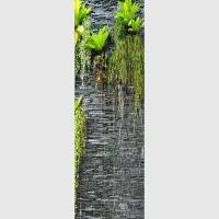 Vliesov fototapeta na zed' Zarostl bidlicov ze | 202 x 90 cm | FTNV 2889