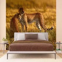 Vliesov fototapeta na zed' Gepardi | 375 x 270 cm | FTNXXL 0420