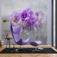 Vliesov fototapeta na zed' Nn orchidej | 375 x 270 cm | FTNXXL 2400
