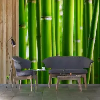 Vliesov fototapeta na zed' Bambus | 360 x 254 cm | FTS 0170