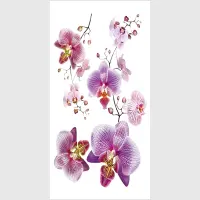 Samolepka na ze Fialov Orchideje | 65 x 85 cm | F 0466