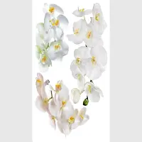 Samolepka na ze Kvty Orchideje | 65 x 85 cm | F 1068