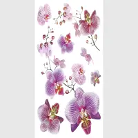 Samolepka na ze Orchideje | 42.5 x 65 cm | SM 3440