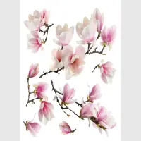 Samolepka na ze Sakura | 30 x 30 cm | SS 3879