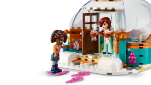 LEGO Friends 41760 Zimn dobrodrustv v igl