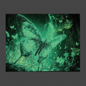 Wooden puzzle Fluorescent Butterfly A3 GID - svtc ve tm